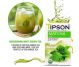 Ceai matcha organic menta 25dz - TIPSON