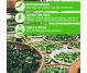Ceai matcha organic menta 25dz - TIPSON