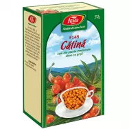 Ceai catina 50g - FARES