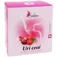 Ceai Uri [sanatate cai urinare] Sublima 50g - DACIA PLANT