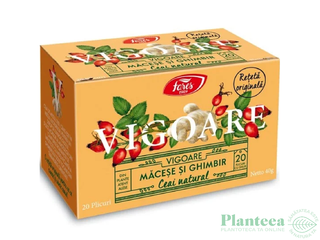 Ceai natural Vigoare macese ghimbir 20dz - FARES