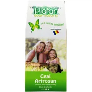 Ceai ArtroSan [AntiReumatic] 50g - PLAFAR