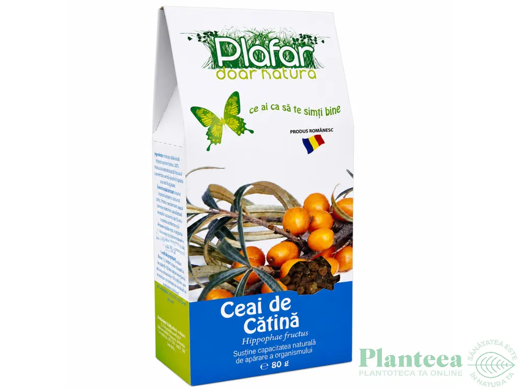 Ceai catina 80g - PLAFAR