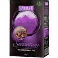 Ceai fructe padure Sensation 80g - EVOLET