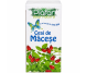 Ceai macese 20dz - PLAFAR