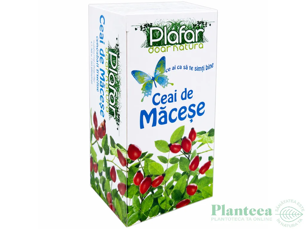 Ceai macese 20dz - PLAFAR