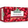 Ceai cu macese 20dz - NATURAVIT