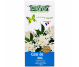 Ceai soc flori 50g - PLAFAR