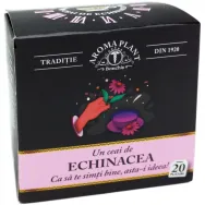 Ceai echinaceea 20dz - BONCHIS