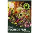 Ceai flori fan 100g - HYPERICUM PLANT