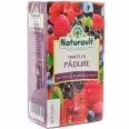 Ceai fructe padure 20dz - NATURAVIT