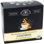 Ceai ghimbir 20dz - BONCHIS