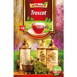 Ceai troscot 50g - ADNATURA