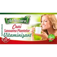 Ceai vitaminizant Savoarea Plantelor 20dz - ADNATURA