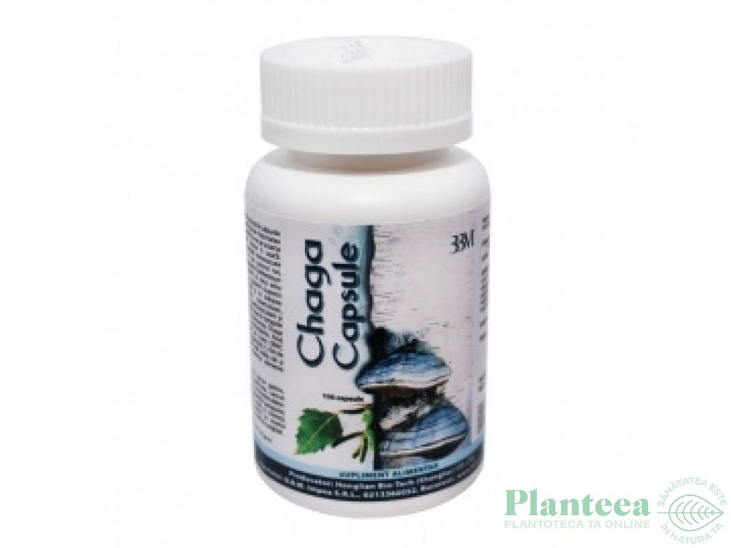 Chaga capsule 100cps - HONGLIAN BIOTECH