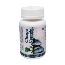 Chaga capsule 100cps - HONGLIAN BIOTECH