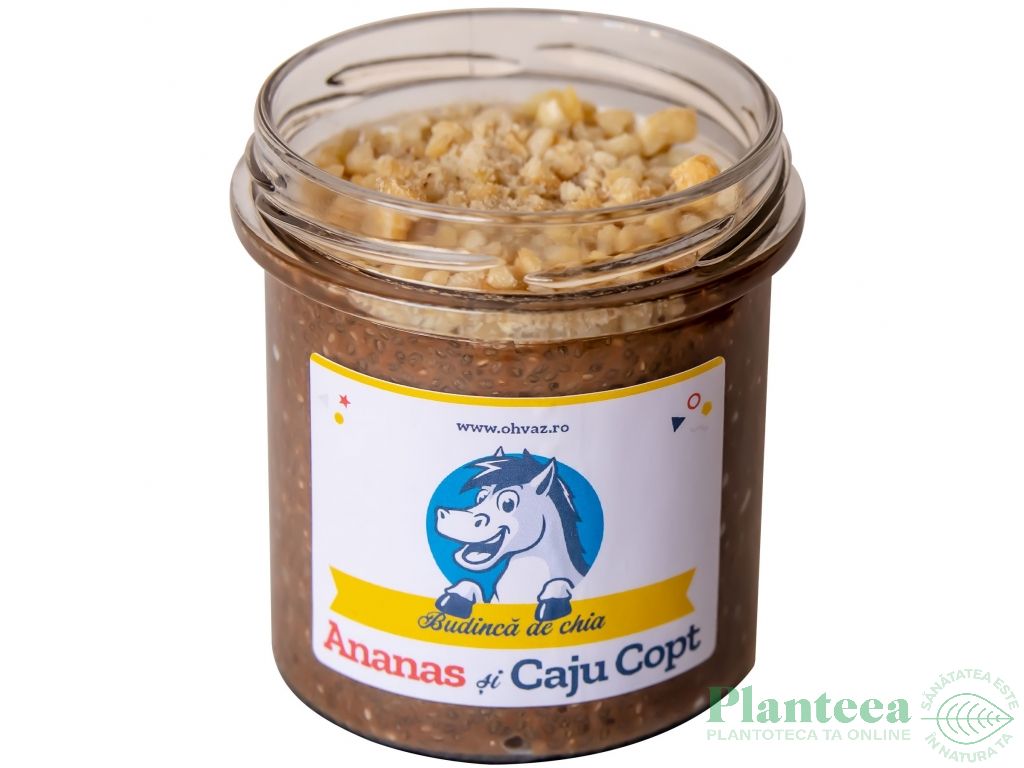 Budinca chia ananas caju 300g - OHVAZ