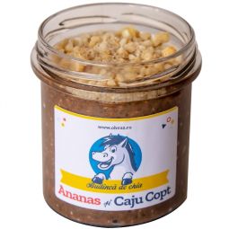 Budinca chia ananas caju 300g - OHVAZ