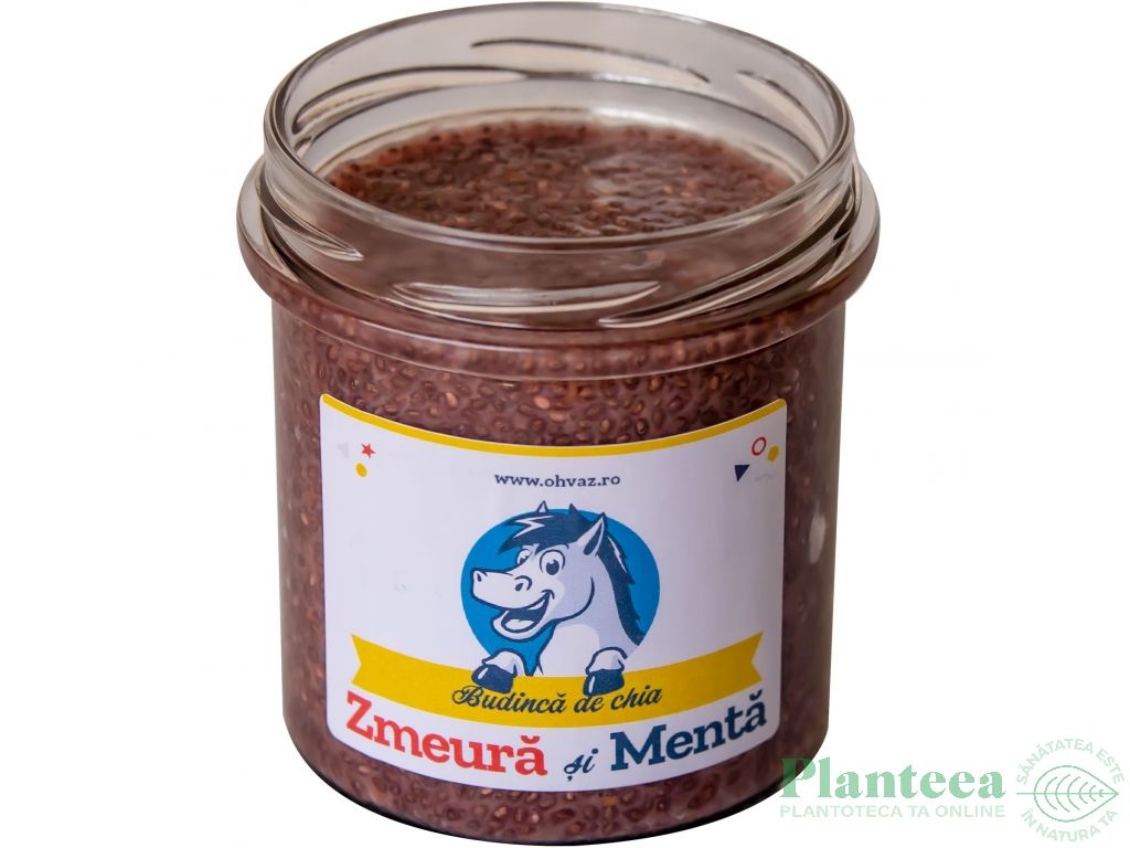 Budinca chia zmeura menta 300g - OHVAZ