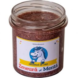 Budinca chia zmeura menta 300g - OHVAZ