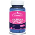 Cicoare extract 60cps - HERBAGETICA