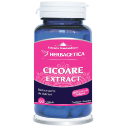 Cicoare extract 60cps - HERBAGETICA
