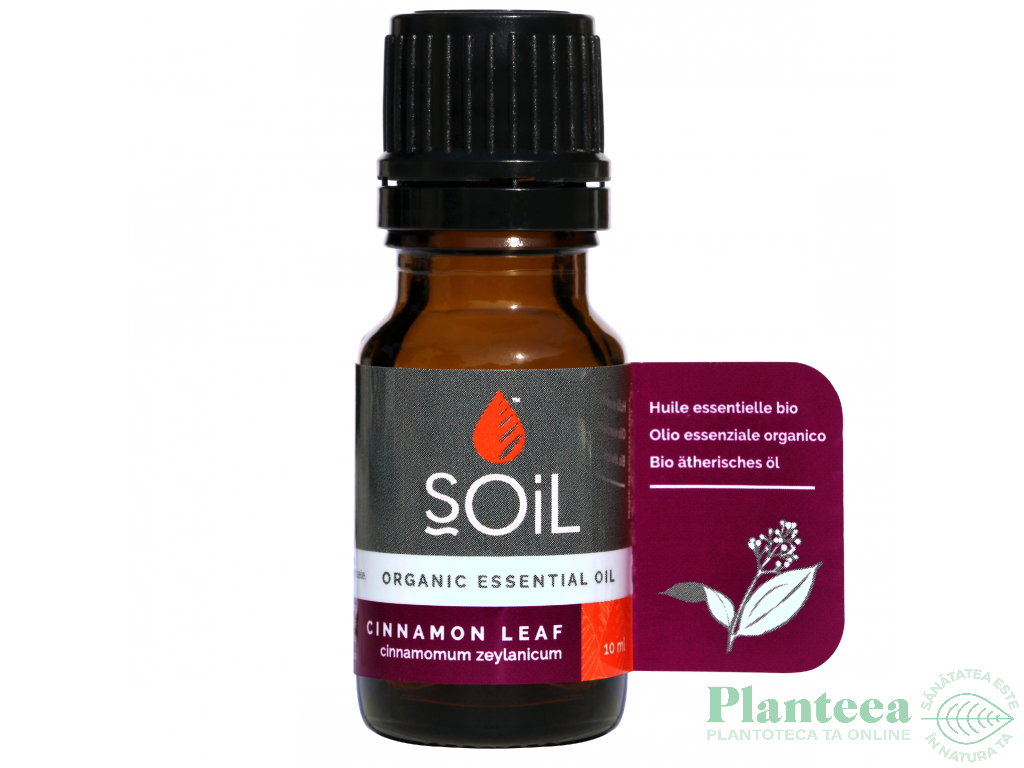 Ulei esential scortisoara organic 10ml - SOiL