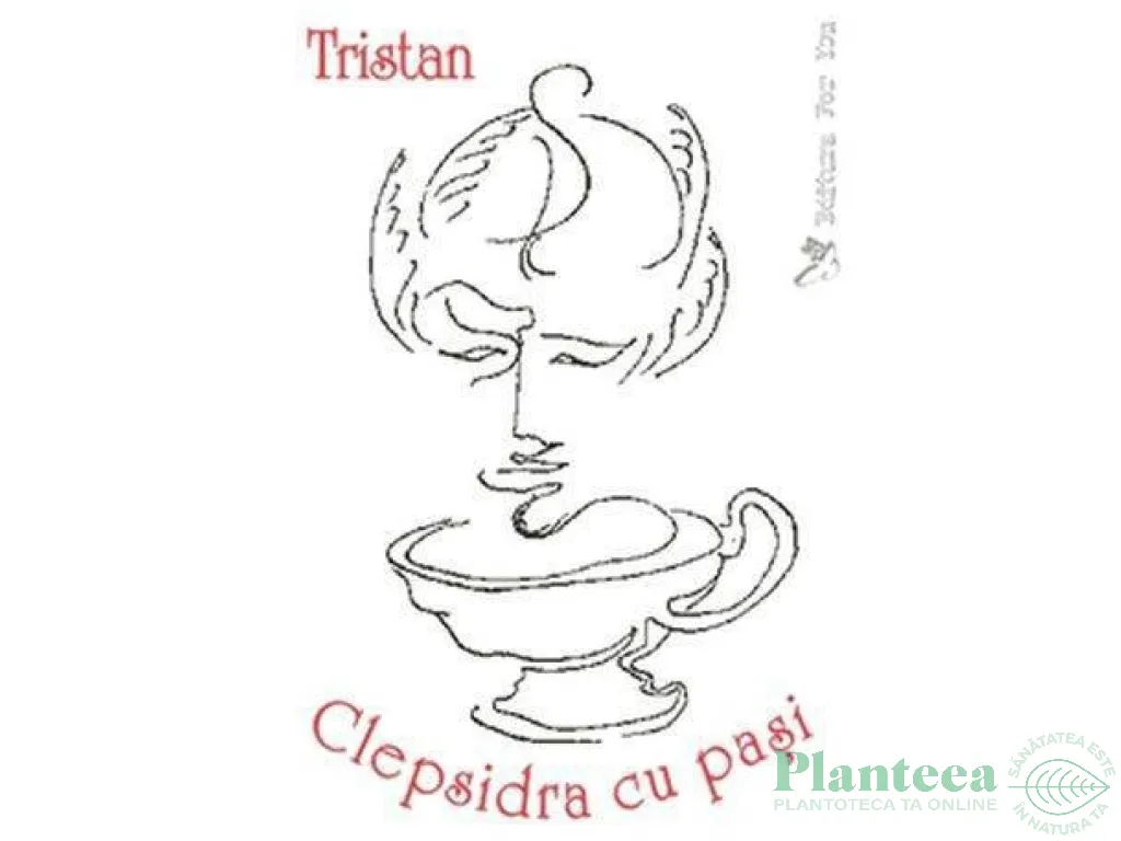 Carte Clepsidra cu pasi 242pg - EDITURA FOR YOU