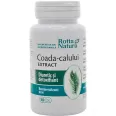 Coada calului extract 30cps - ROTTA NATURA
