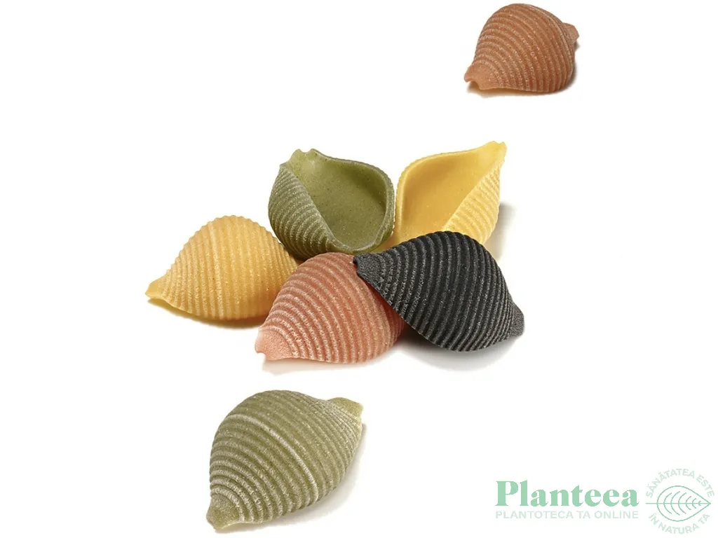 Paste scoici grau 5culori eco 500g - LOGGIA DEI GRANI