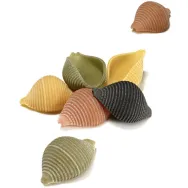 Paste scoici grau 5culori eco 500g - LOGGIA DEI GRANI