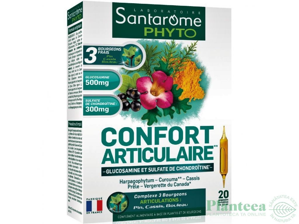 Confort articular 20fl - SANTAROME