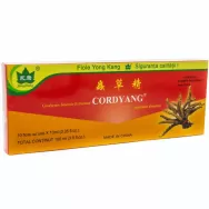 Cordyang cordyceps 10fl - YONG KANG