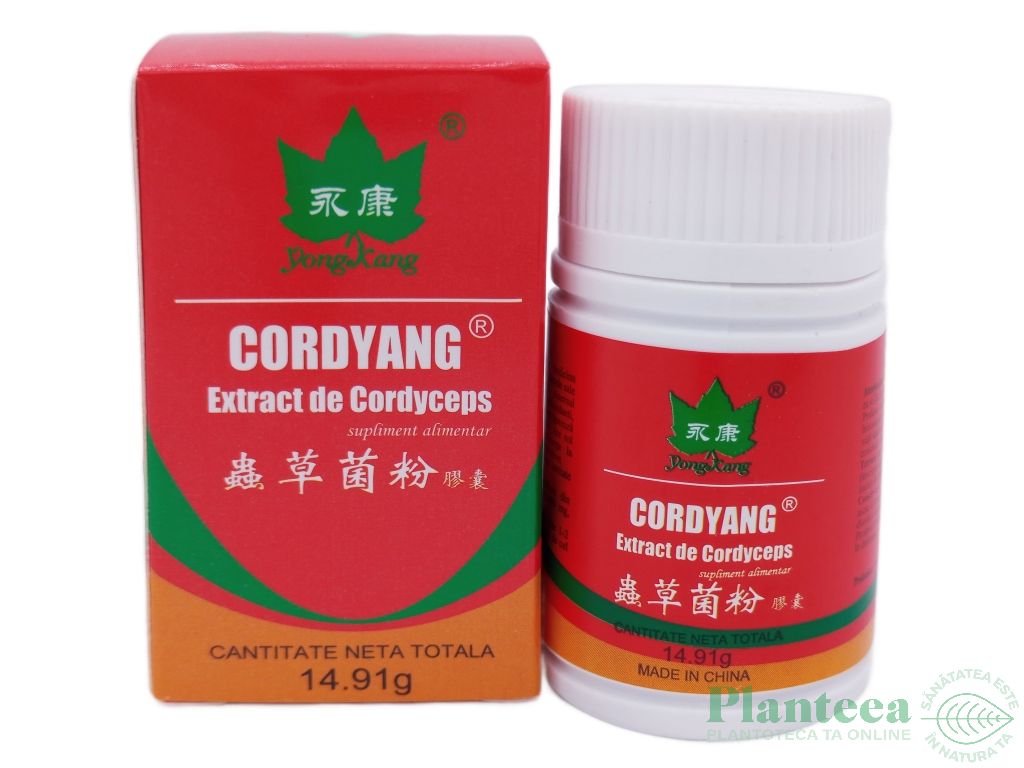 Cordyang extract cordyceps 30cps - YONG KANG
