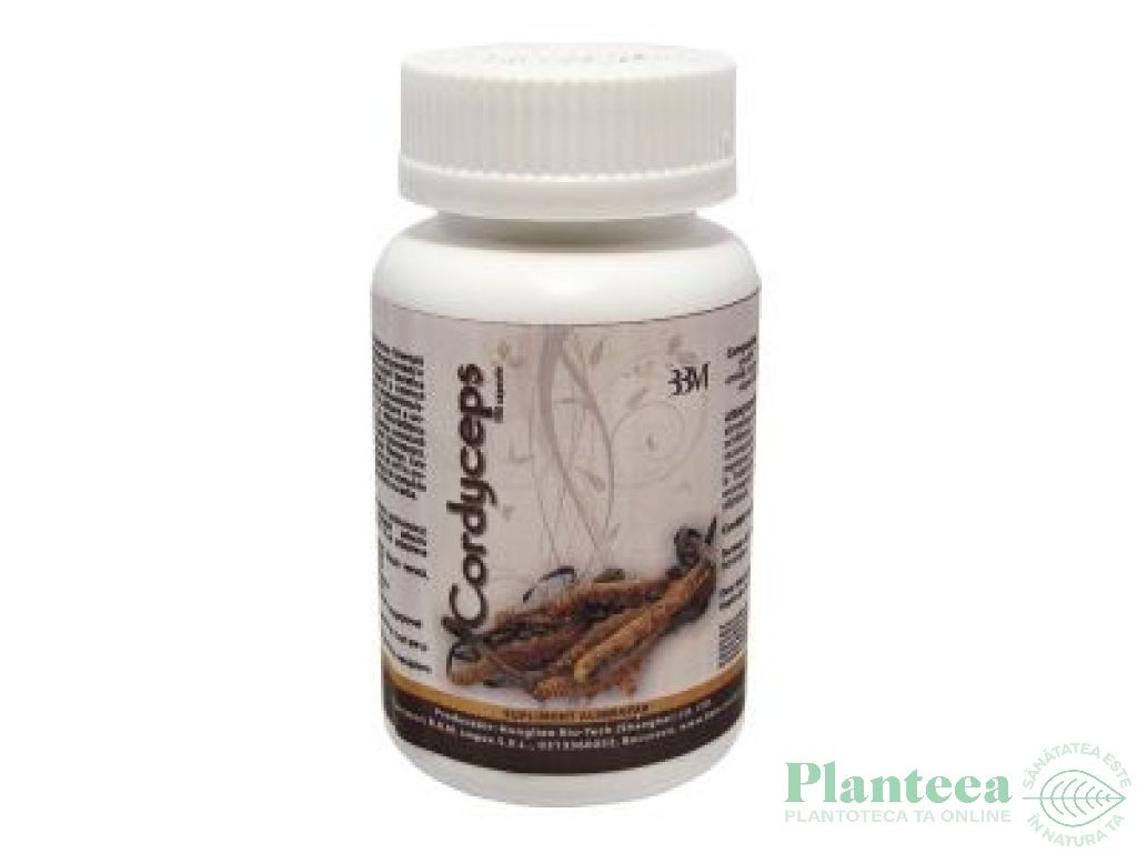 Cordyceps 450mg 100cps - HONGLIAN BIOTECH