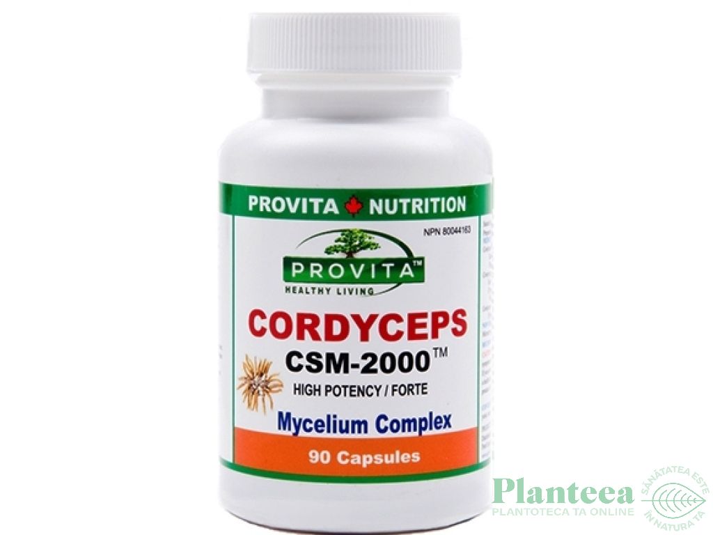 Cordyceps CSM 2000 90cps - PROVITA NUTRITION