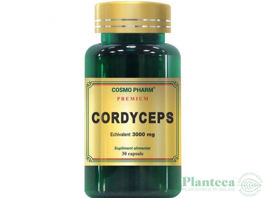 Cordyceps 300mg 30cps - COSMO PHARM