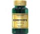 Cordyceps 300mg 60cps - COSMO PHARM