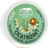 Unguent cicatrizant 40g - CETA SIBIU