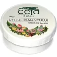 Unguent untul pamantului 40g - CETA SIBIU