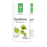 Tinctura cretisoara 50ml - SANTO RAPHAEL