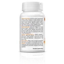 Curcumin Piperine 500mg 30cps - ZENYTH