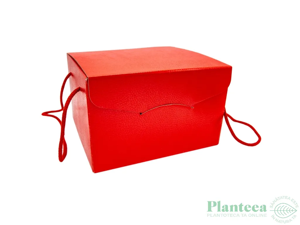 Pachet cadou ~Zen~ Premium - PLANTEEA