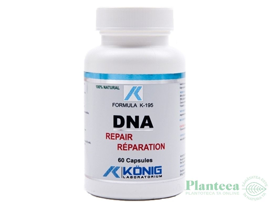 DNA Repair 60cps - KONIG