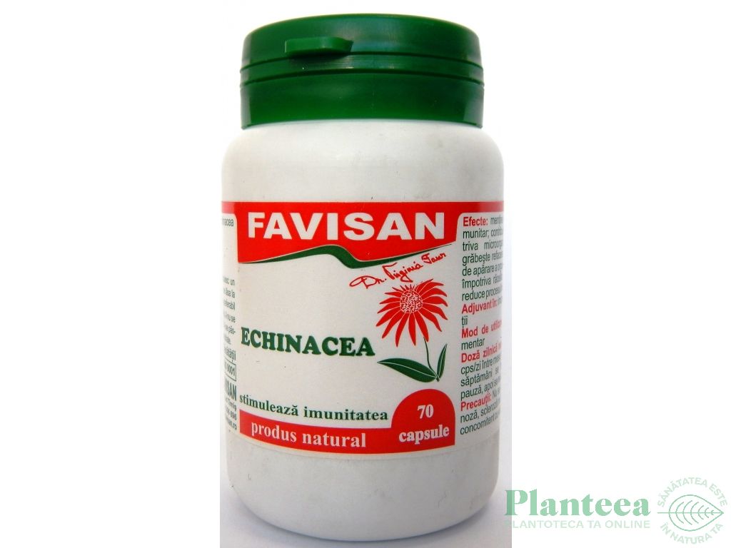 Echinaceea 70cps - FAVISAN