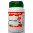 Echinaceea 70cps - FAVISAN