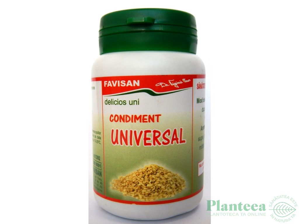 Condimente universal Delicios uni 50g - FAVISAN