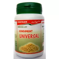 Condimente universal Delicios uni 50g - FAVISAN