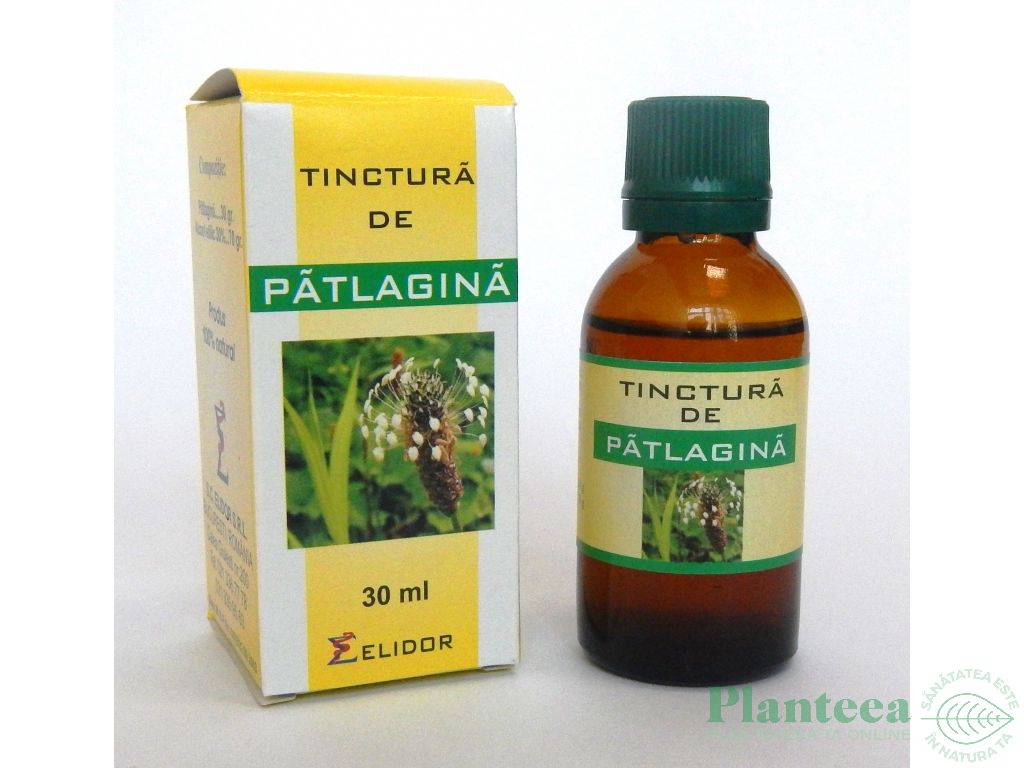 Tinctura patlagina 30ml - ELIDOR