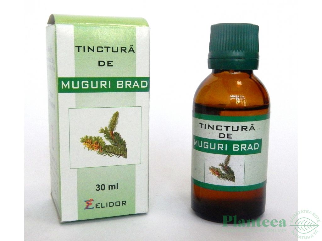 Tinctura muguri brad 30ml - ELIDOR